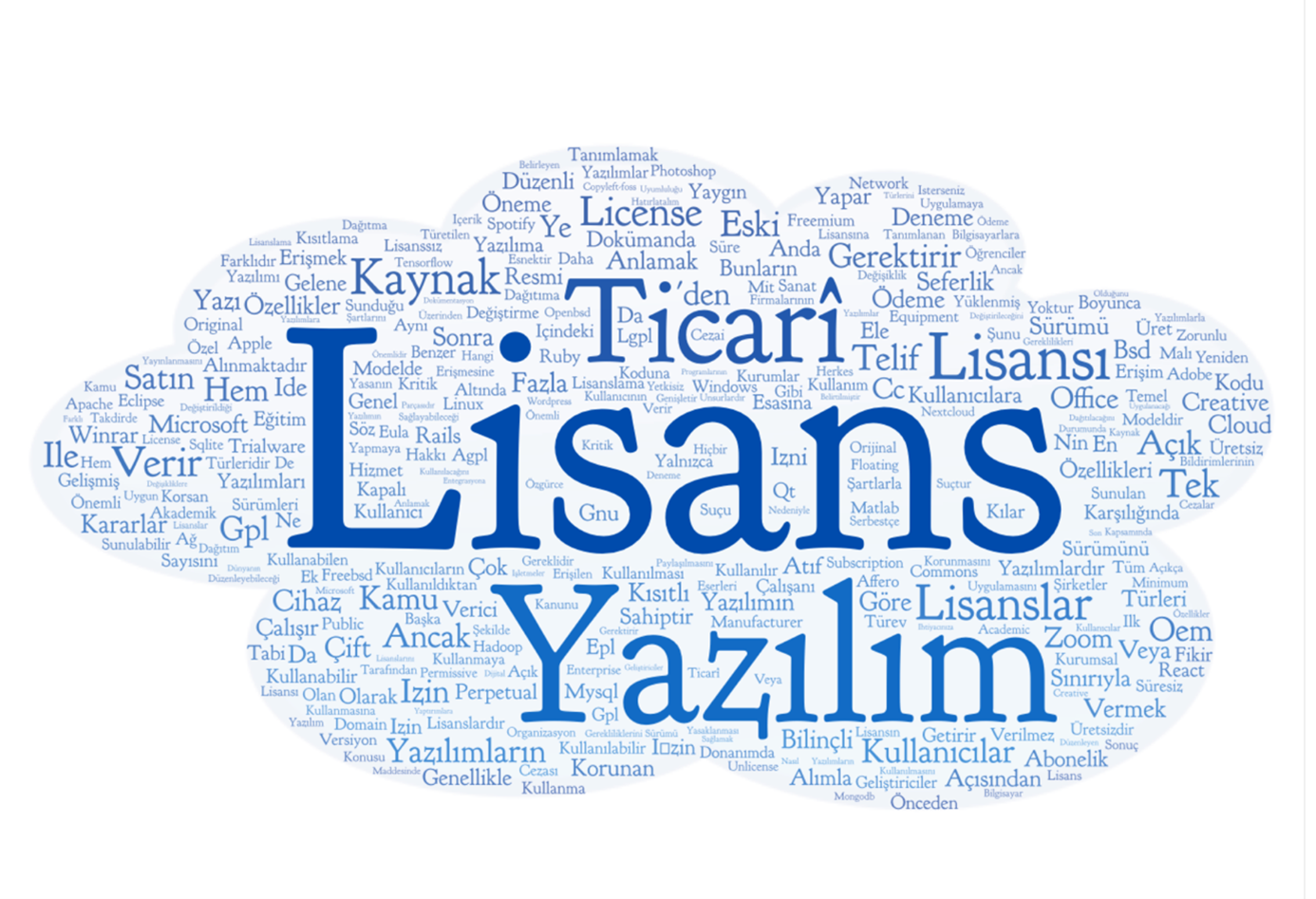 Lisanslı Yazılım Kullanımı Neden Kurumlar İçin Kritiktir?
